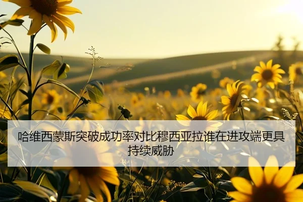 哈维西蒙斯突破成功率对比穆西亚拉谁在进攻端更具持续威胁